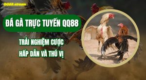 Da ga truc tuyen QQ88
