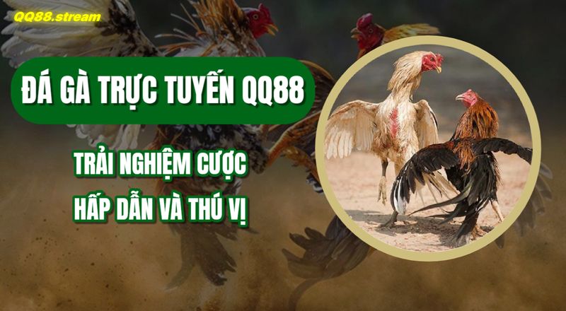 Da ga truc tuyen QQ88